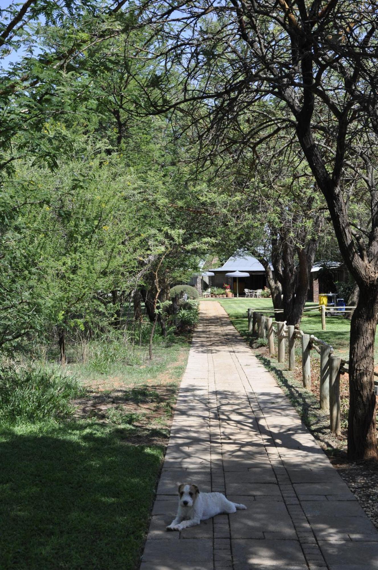 Grincourt B&B- With No Load Shedding Polokwane Esterno foto
