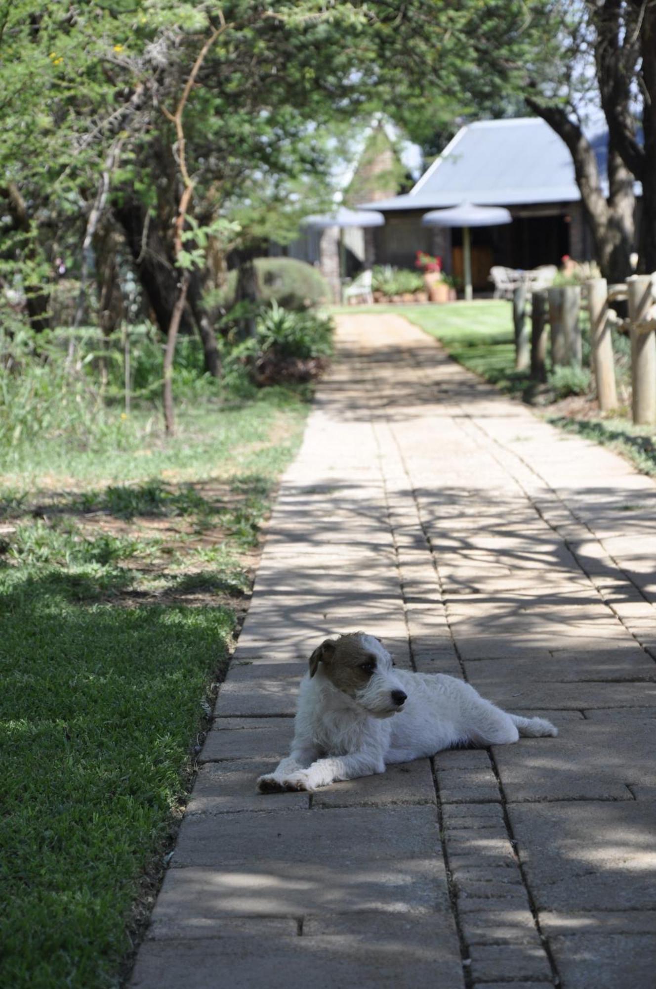 Grincourt B&B- With No Load Shedding Polokwane Esterno foto