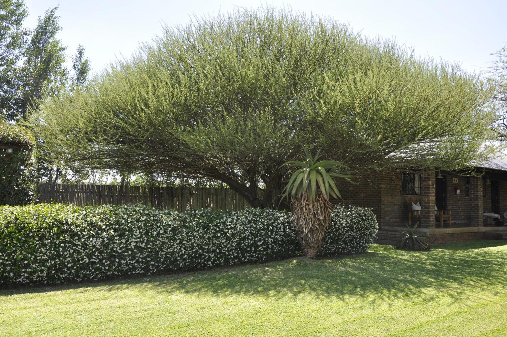 Grincourt B&B- With No Load Shedding Polokwane Esterno foto